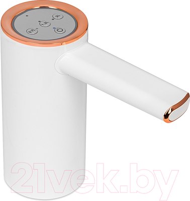 Автоматическая помпа для воды Ecotronic PLR-240